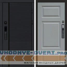 Дверь  Termo Door  Smart (Смарт) Black Line Лион Grey софт